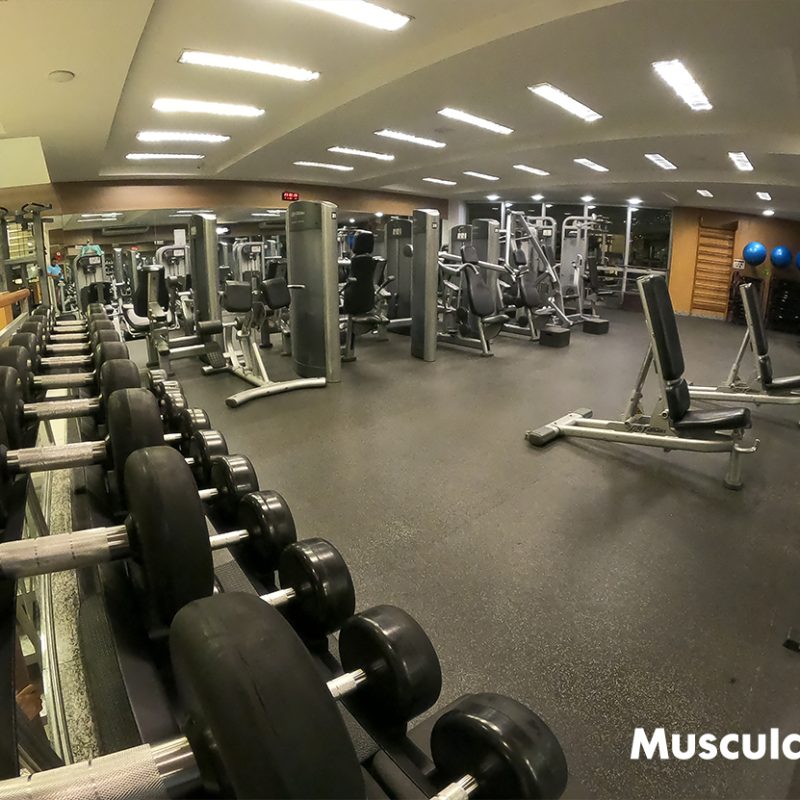 musculacao2