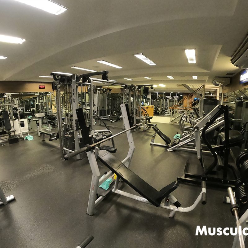 musculacao3