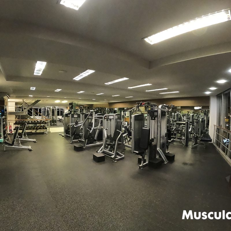 musculacao4